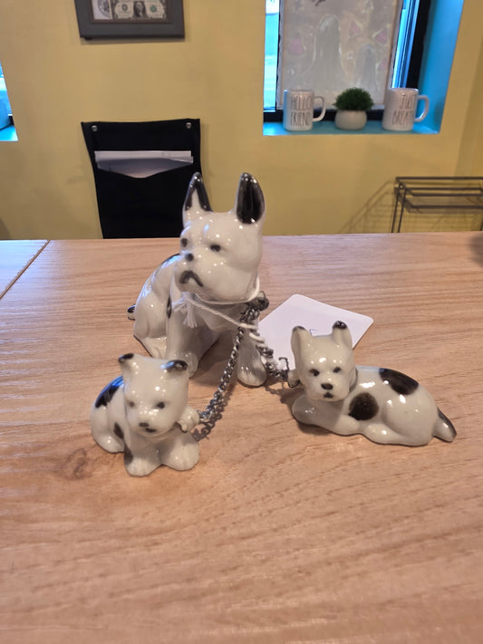 Boston Terrier Chain Family